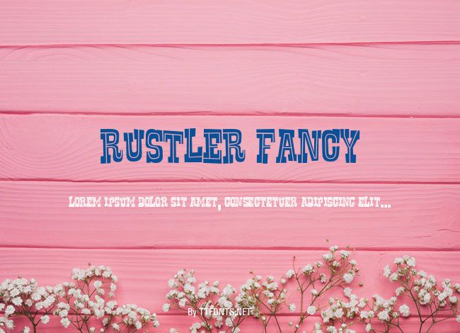 Rustler Fancy example